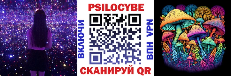 Псилоцибиновые грибы Psilocybe  что такое   Зеленоградск 